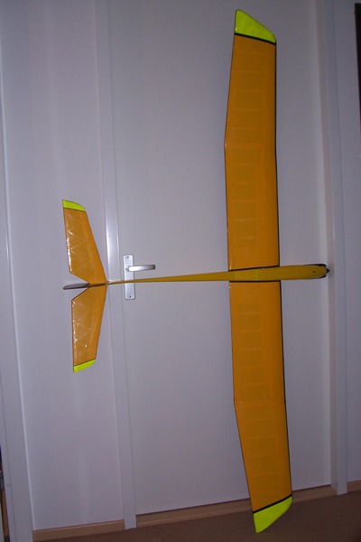 Elektra_zwever-01.jpg